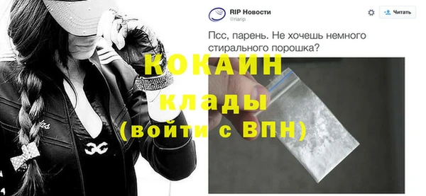гидра Михайловка