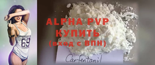 ПСИЛОЦИБИНОВЫЕ ГРИБЫ Михайловск