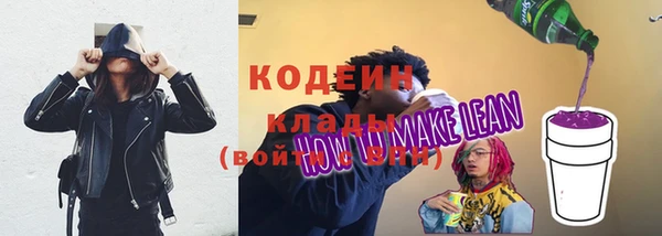 гидра Михайловка