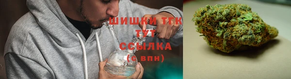 ПСИЛОЦИБИНОВЫЕ ГРИБЫ Михайловск