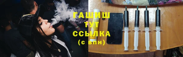 гидра Михайловка