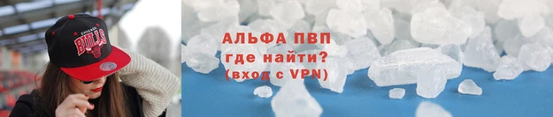 гидра Михайловка