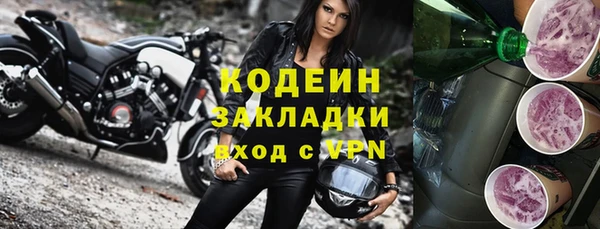 гидра Михайловка
